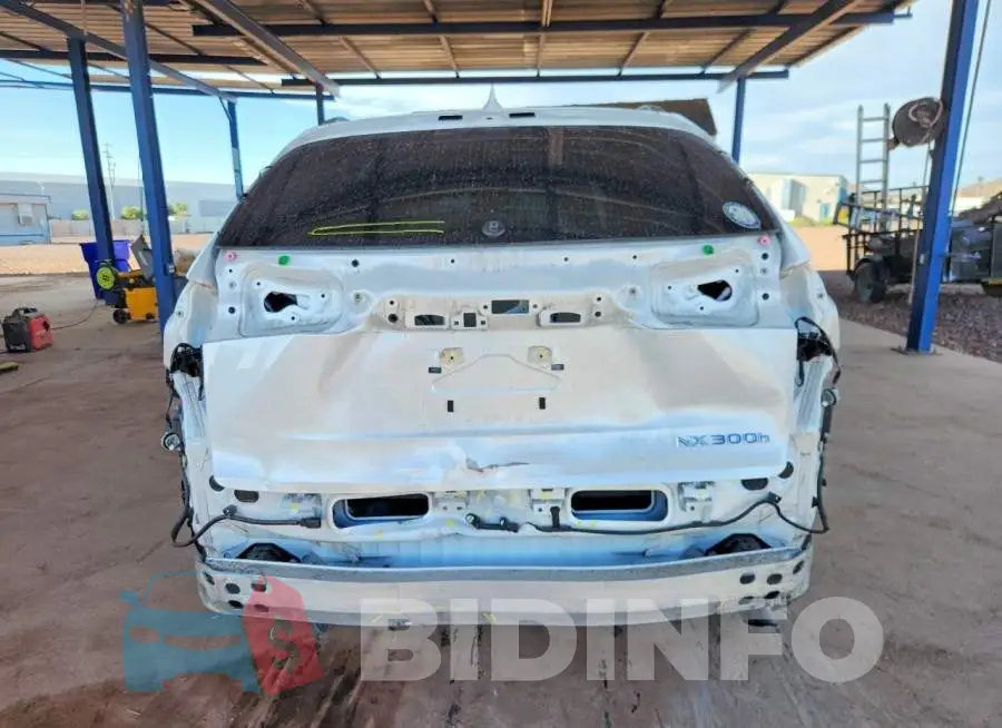 JTJGJRDZ6L5009377 Photo# 6
