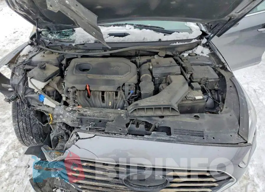 5NPE24AF0KH791761 Photo# 11