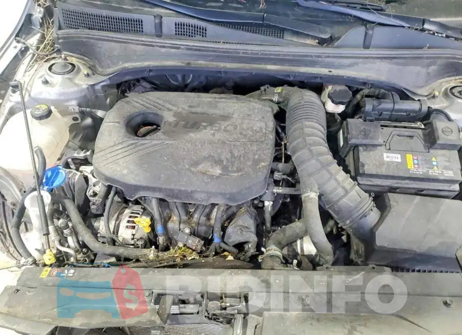 3KPF44AC3PE620406 Photo# 11