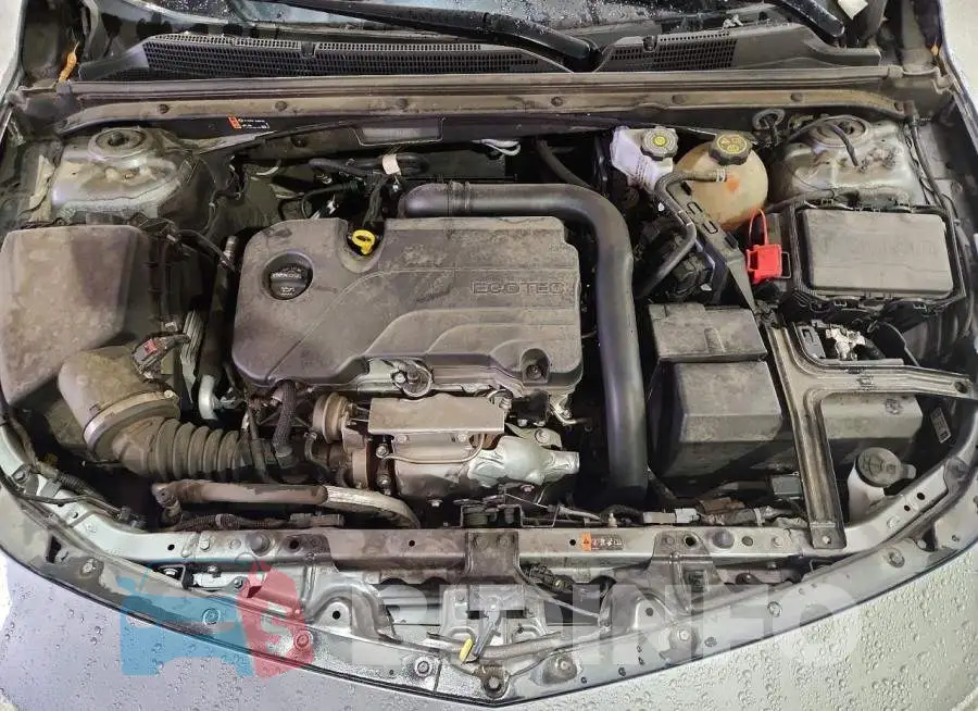 1G1ZD5ST0PF213577 Photo# 11