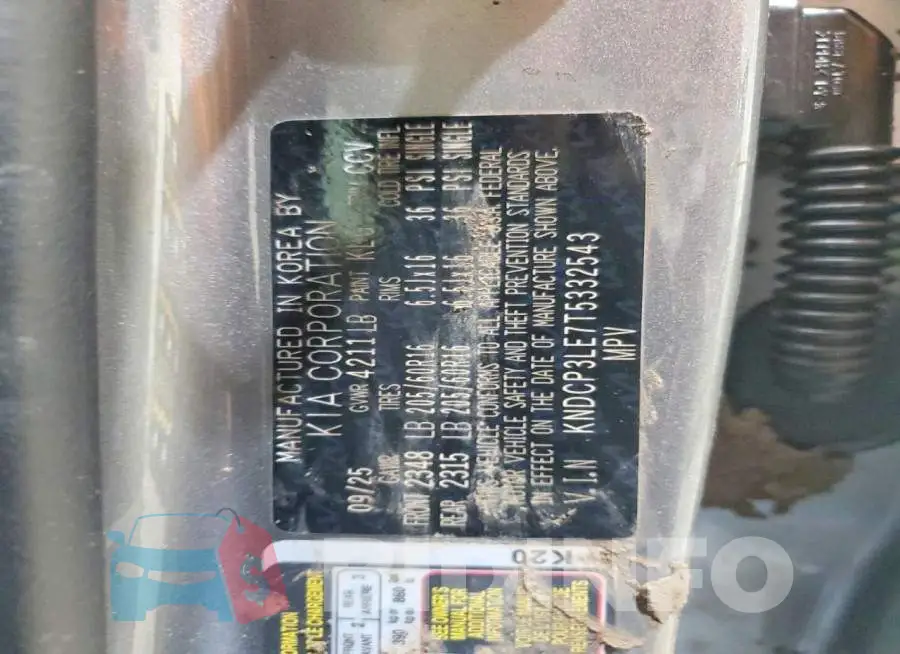 KNDCP3LE7T5332543 Photo# 13