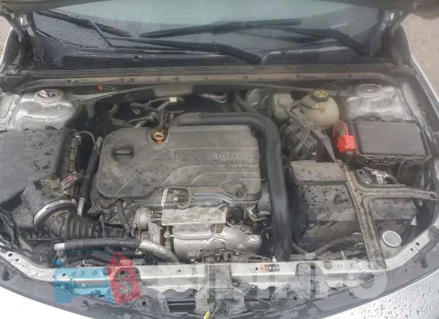 1G1ZD5ST0LF078899 Photo# 11