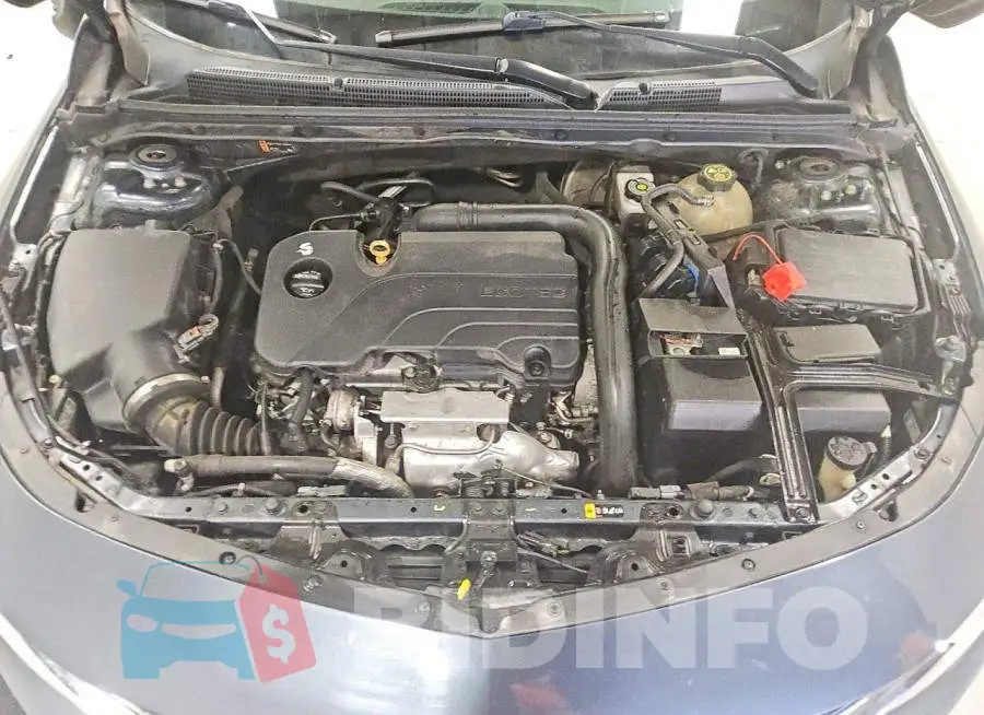 1G1ZD5ST5KF136813 Photo# 11