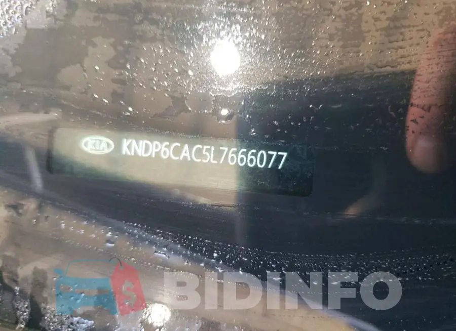 KNDP6CAC5L7666077 Photo# 13