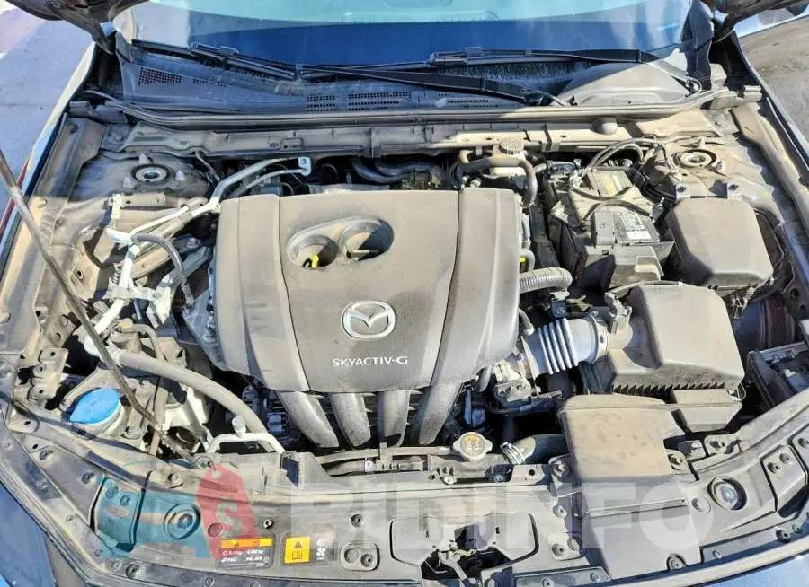 3MZBPBCL3MM252718 Photo# 11