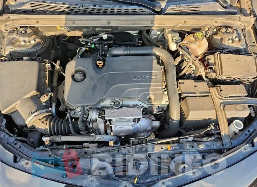 1G1ZD5ST6LF056129 Photo# 11