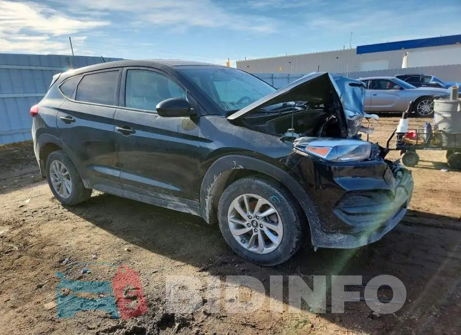 KM8J23A43HU577607 Photo# 4