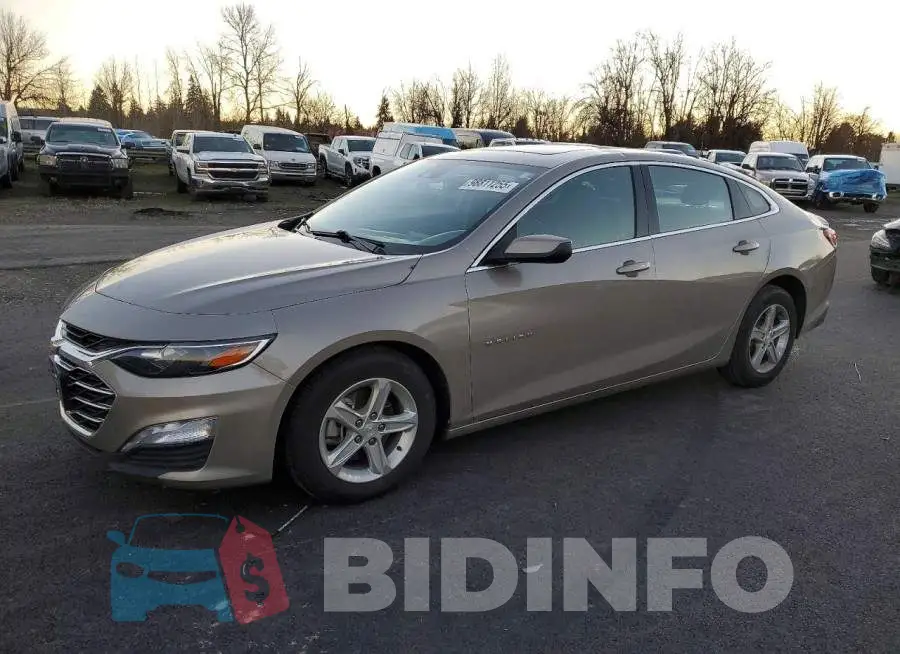 1G1ZD5ST1RF217138 Photo# 1