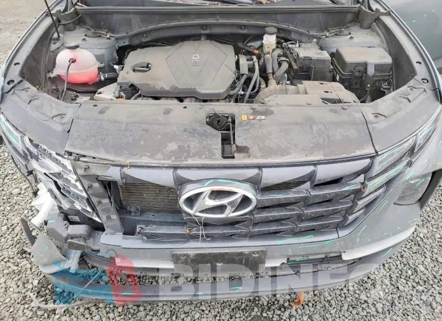 5NMJACDE5RH373945 Photo# 12