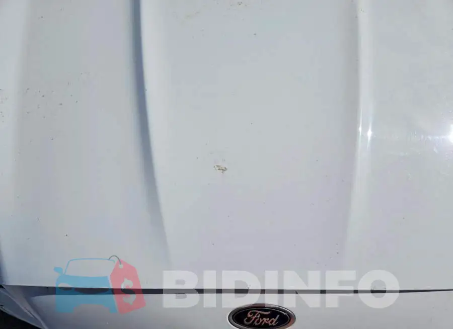 3FA6P0HD7LR170332 Photo# 11