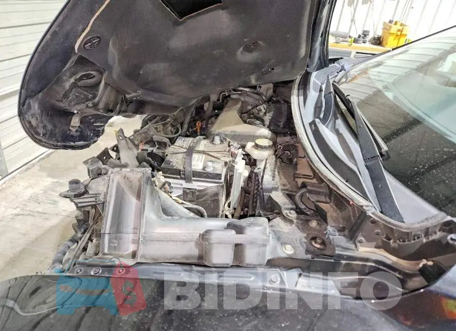 KNMAT2MT8LP502164 Photo# 11