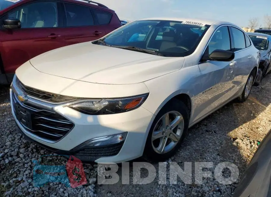 1G1ZB5ST4LF110856 Photo# 1