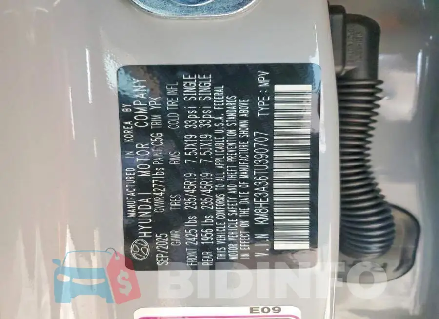 KM8HE3A36TU390707 Photo# 13