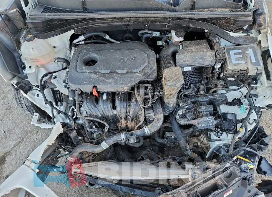 KNDPM3AC7M7896615 Photo# 11