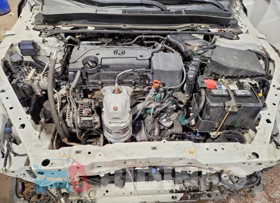 19UUB1F65KA005481 Photo# 11