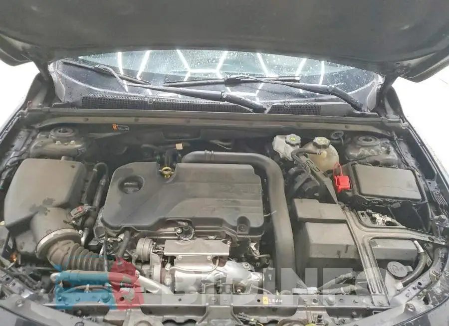 1G1ZD5ST5PF220086 Photo# 11