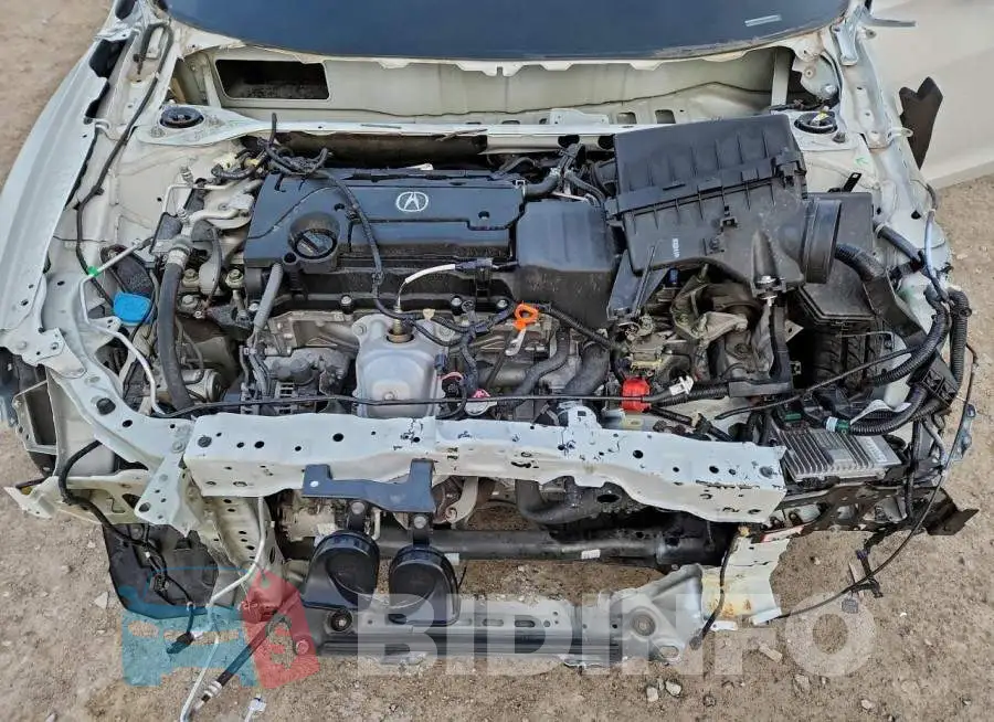 19UDE2F73KA004951 Photo# 11