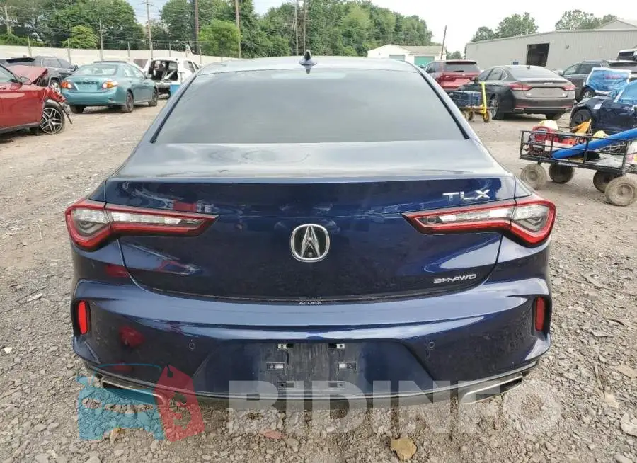 19UUB6F69MA012403 Photo# 6
