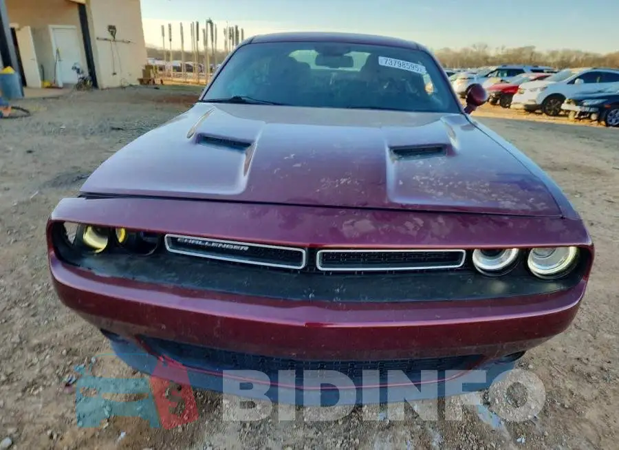 2C3CDZGG9KH594244 Photo# 5