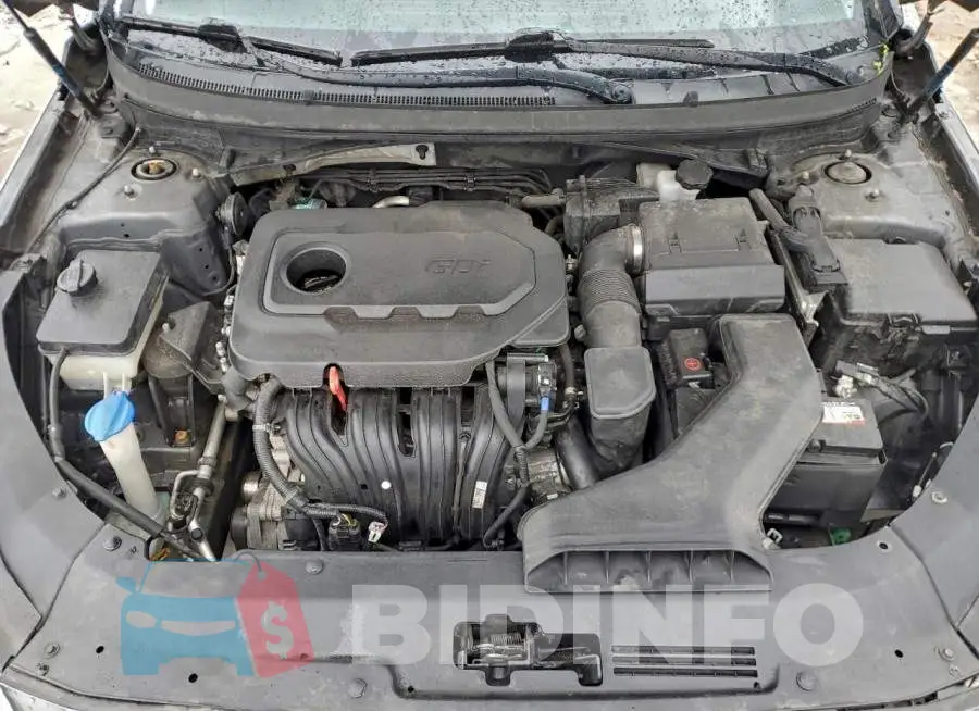 5NPE34AF6KH764674 Photo# 11