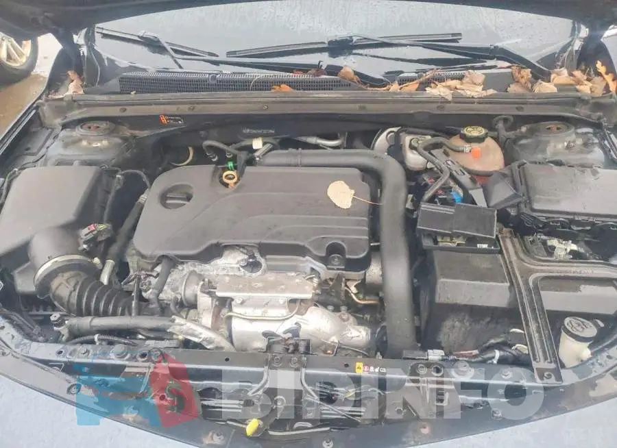 1G1ZD5ST5KF221294 Photo# 11
