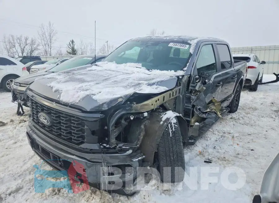 1FTEW2LP5SKD63281 Photo# 1