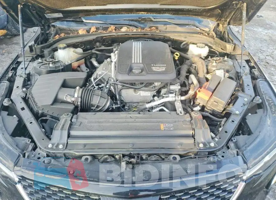 1G6DF5RK8N0115814 Photo# 11