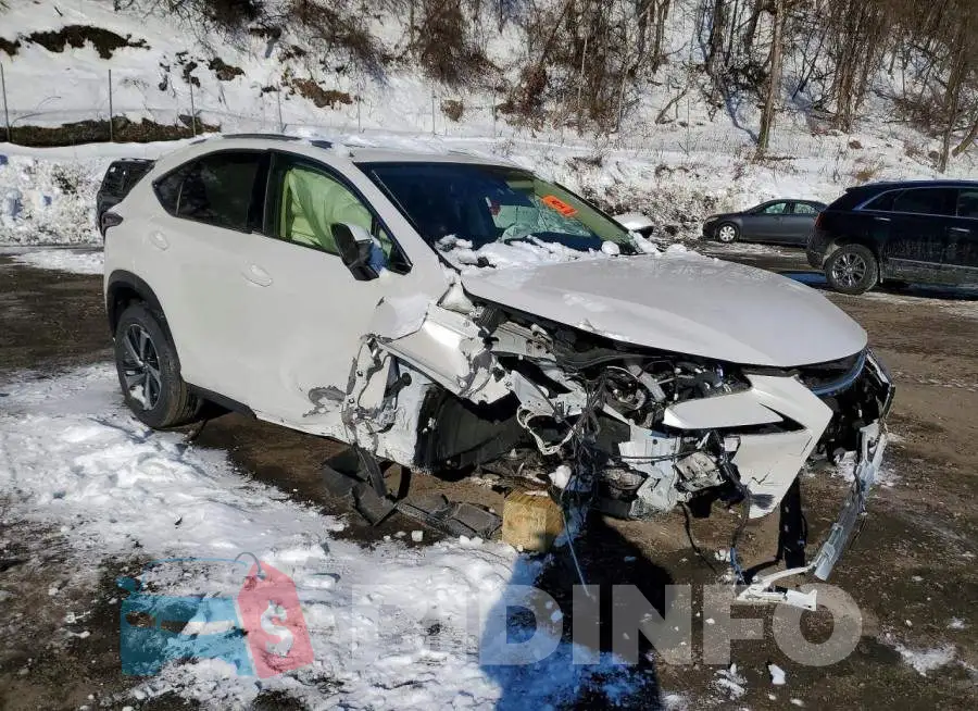 JTJGARDZ2M5023018 Photo# 4