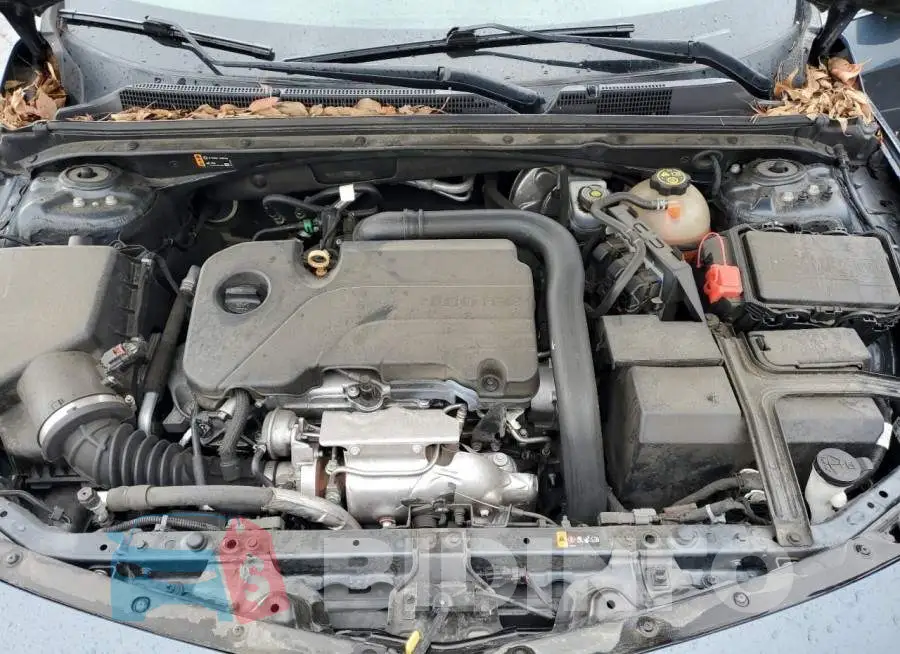 1G1ZD5ST7LF071366 Photo# 11