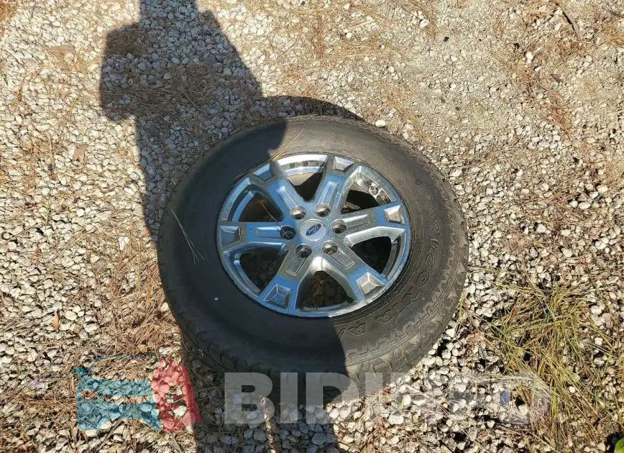 1FTFW1E85MKD97454 Photo# 12