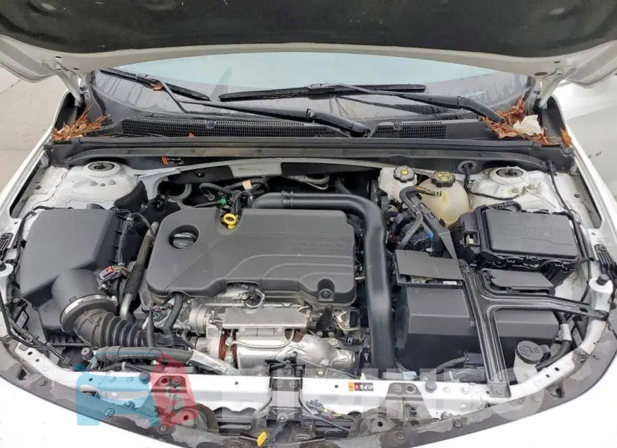 1G1ZD5ST1RF140013 Photo# 11