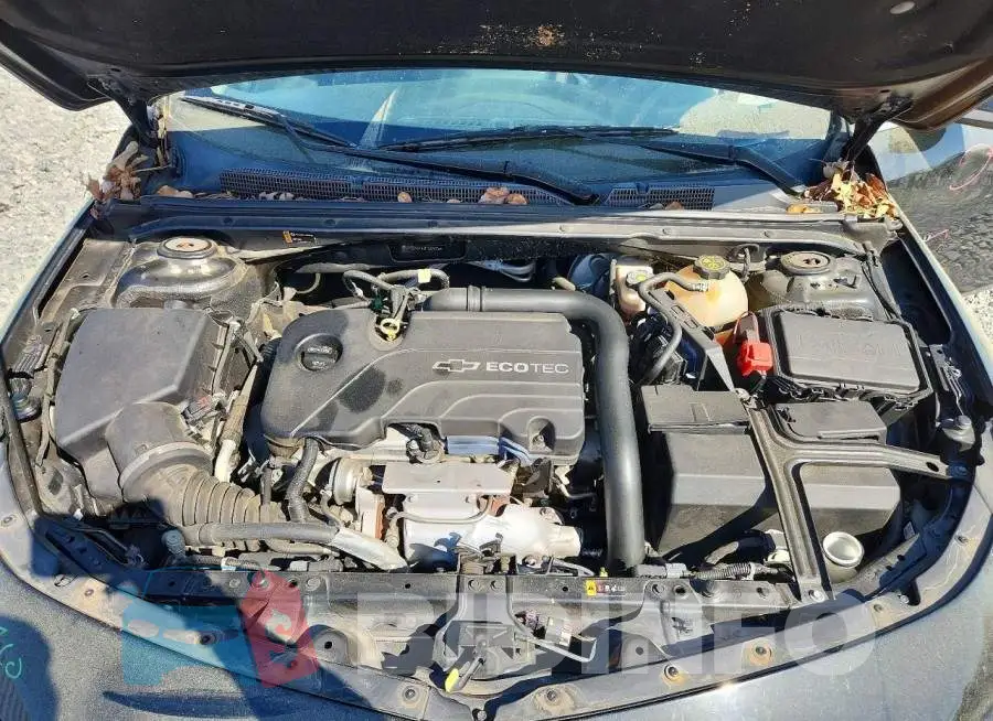 1G1ZD5ST5JF167574 Photo# 11
