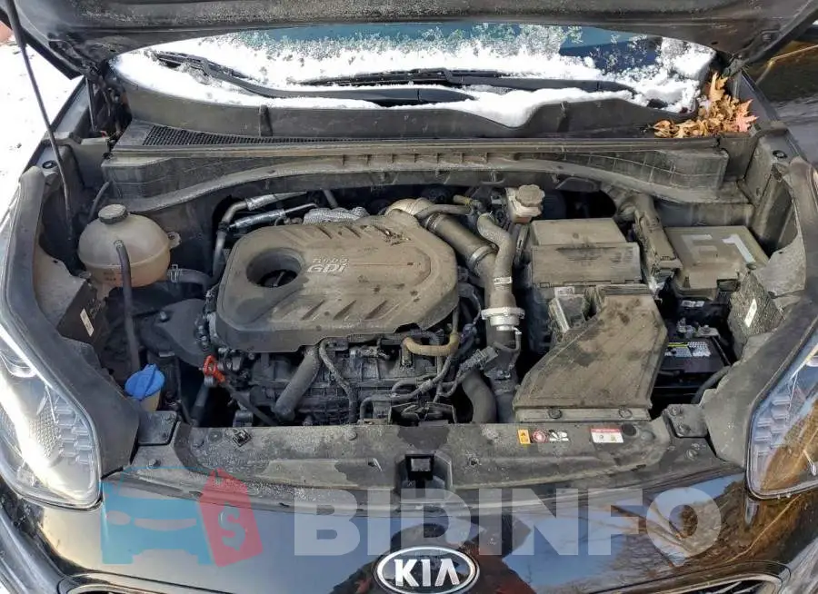 KNDPR3A68M7887594 Photo# 12