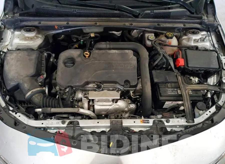 1G1ZD5ST8MF020959 Photo# 11