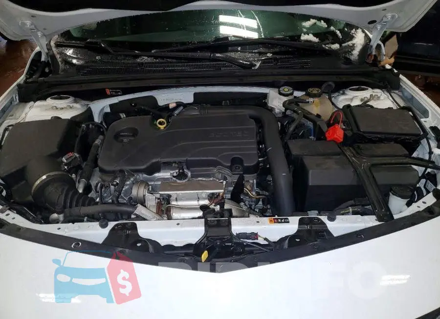 1G1ZG5ST2PF146035 Photo# 11