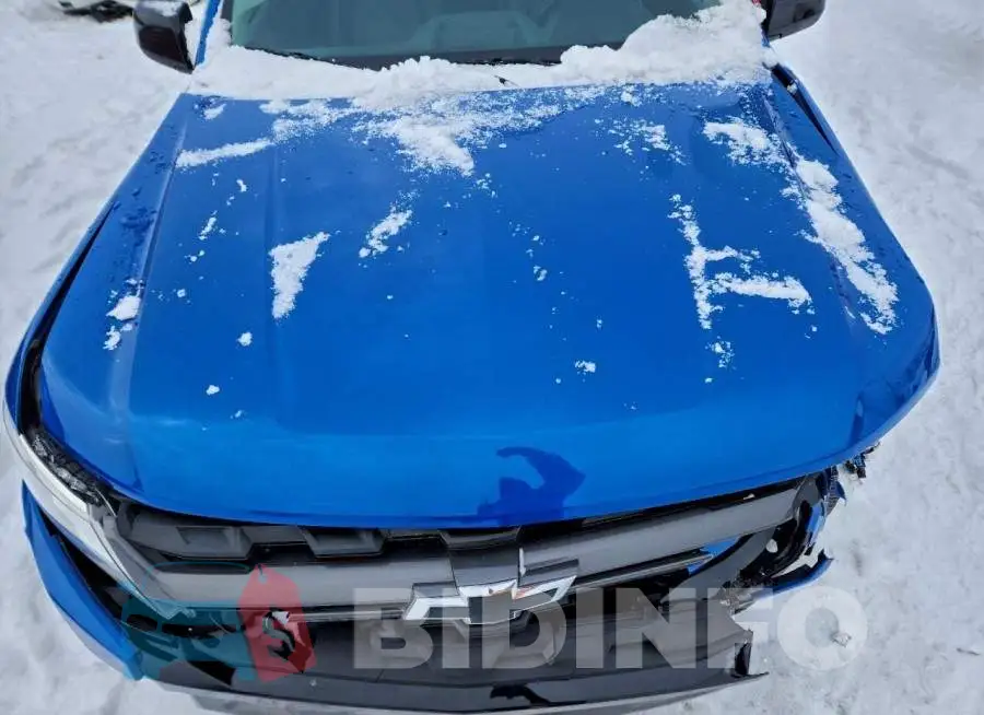 1GCGTDEN5M1130647 Photo# 11