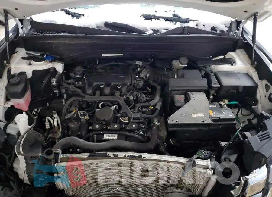 KM8R7DGE3PU633196 Photo# 12