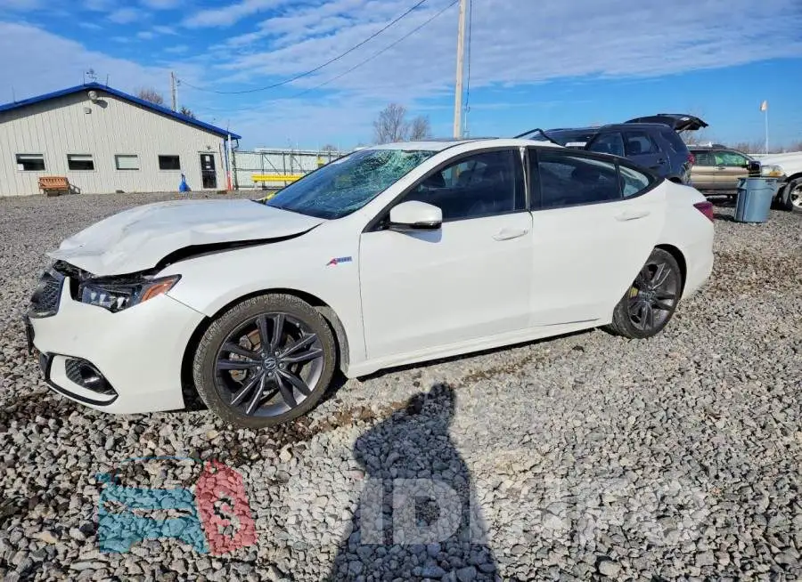 19UUB1F62KA001923 Photo# 1