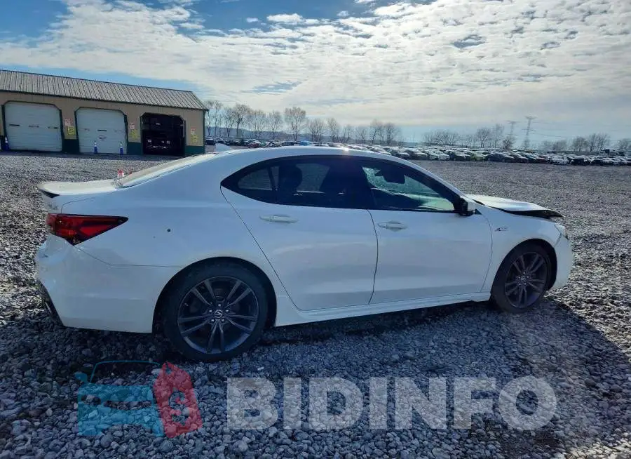 19UUB1F62KA001923 Photo# 3