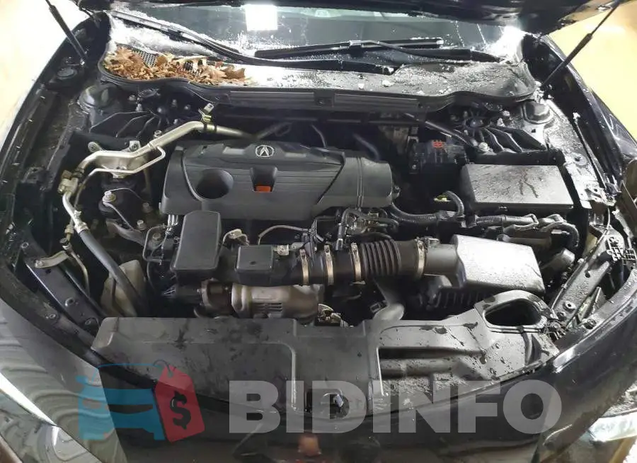 19UUB6F32MA005556 Photo# 11