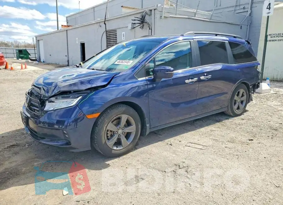 5FNRL6H55MB033830 Photo# 1