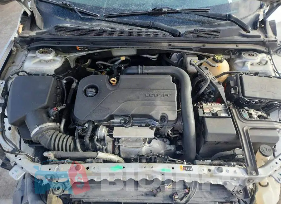 1G1ZD5ST7JF268101 Photo# 11