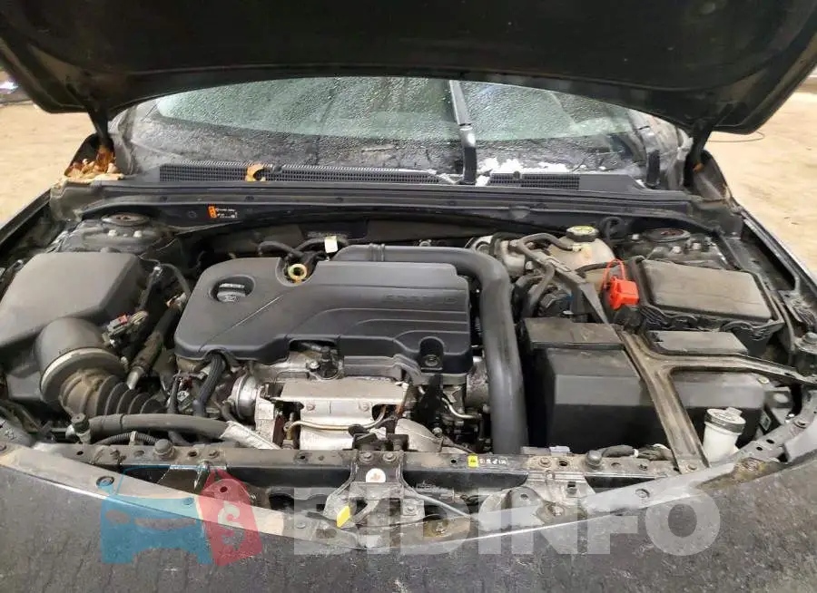 1G1ZD5ST8KF137969 Photo# 11