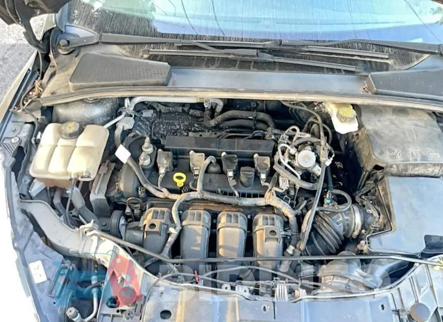 1FADP3E21HL263221 Photo# 7