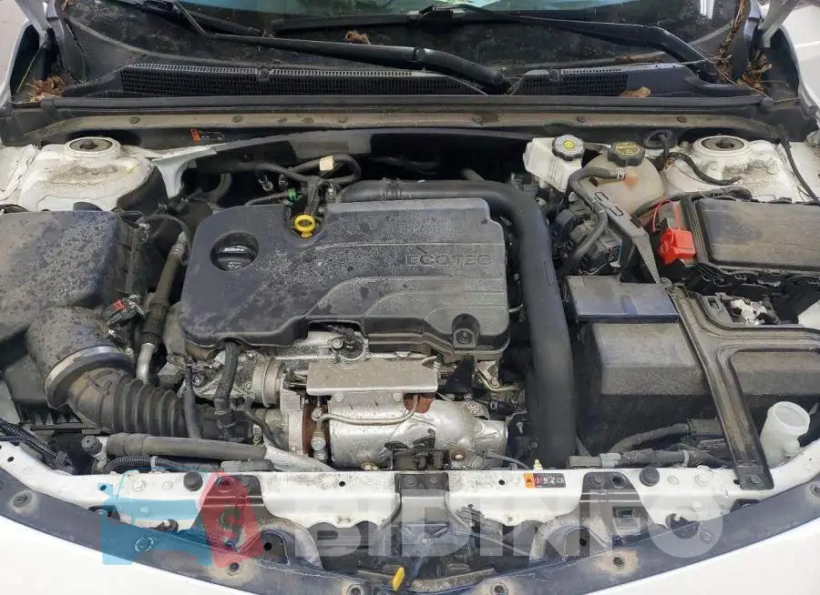 1G1ZD5ST2RF215902 Photo# 11
