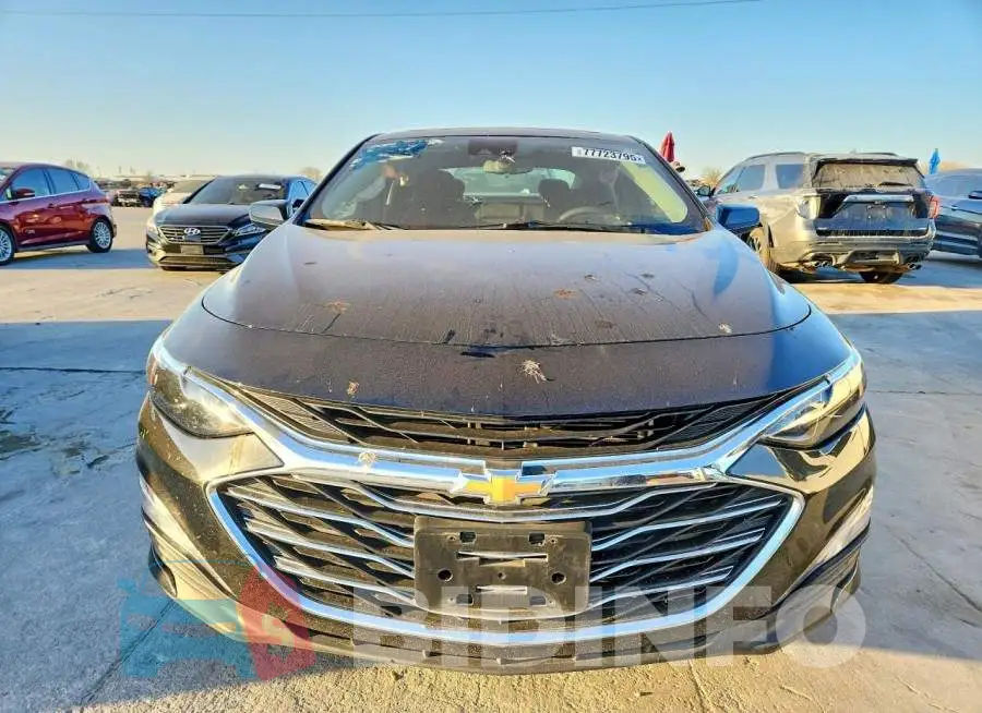 1G1ZD5ST9RF202466 Photo# 5