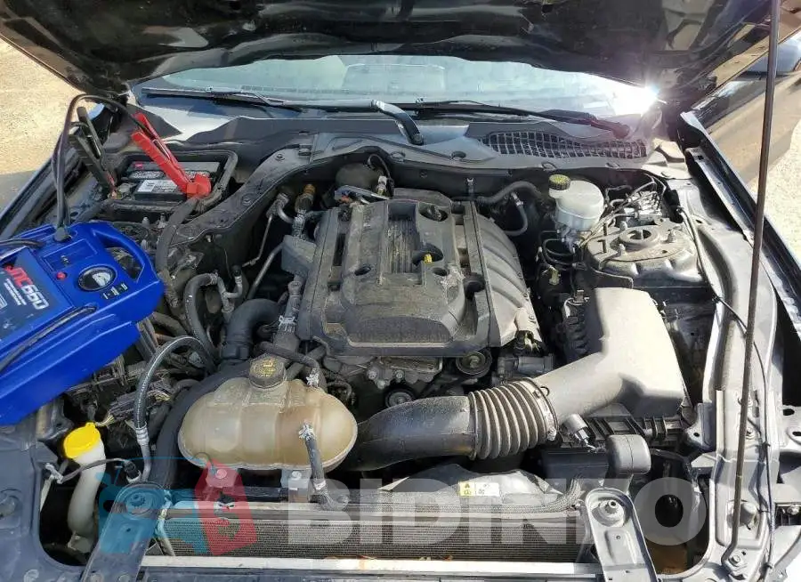 1FA6P8TH3H5281933 Photo# 11