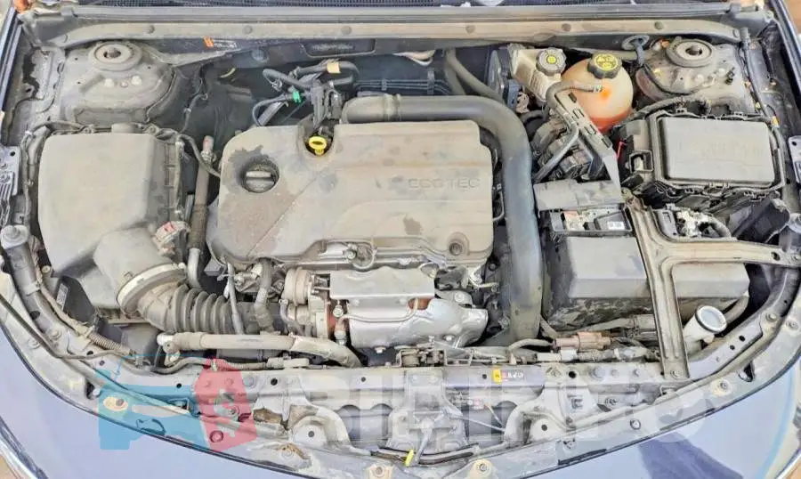 1G1ZD5ST0PF202921 Photo# 11