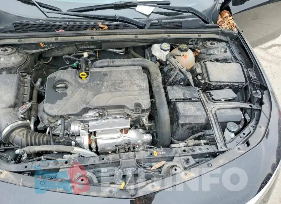 1G1ZG5ST4RF248598 Photo# 11