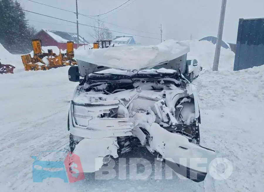 1FTFW3L51RFA93526 Photo# 5